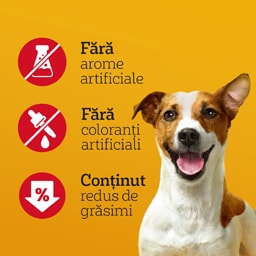 Pedigree | Jumbone | HraNa complementara pentru caini, cu aroma de vita si pasare, 4 buc, 160g