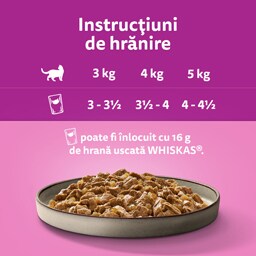 Whiskas | Hrana umeda pentru pisici Selectie mini fileuri in aspic 12x85g