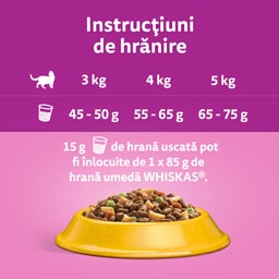 Whiskas | Hrana uscata pisici adulte, cu pui 300g
