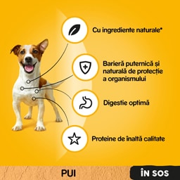 Pedigree | Hrana umeda cu pui si legume in sos pentru caini adulti 100g