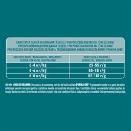 Purina One | Hrana uscata pentru pisici Indoor, cu carne de curcan 1.5kg