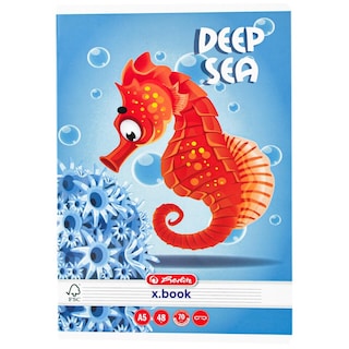 Herlitz | Caiet dictando A5 48 file, diverse modele