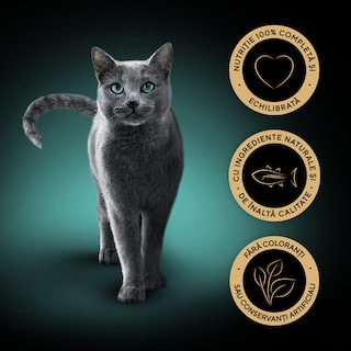 Sheba | Hrana completa pentru pisici adulte, cu ton 85g