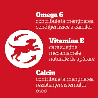 Pedigree | Biscrok | Hrana complementara pentru caini adulti 200g