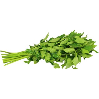 (bucata) | Leustean legatura, import