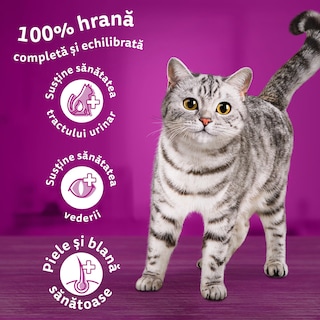 Whiskas | Hrana uscata cu pui pentru pisici sterilizate 1.4kg