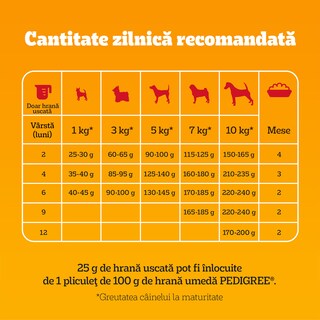 Pedigree | Hrana uscata pentru caini Junior mini, cu pui si legume 1.4kg