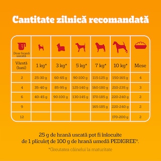 Pedigree | Hrana uscata pentru caini Junior mini, cu pui si legume 1.4kg