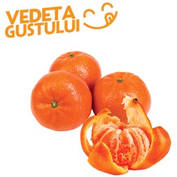 Mandarine Murcott