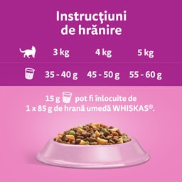 Whiskas | Hrana uscata pentru pisici sterilizate, cu somon 1.4kg