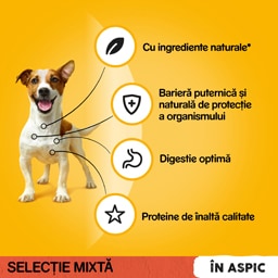 Pedigree | Pouch | Hrana completa pentru caini adulti, 2 cu vita si 2 cu pasare, 4x100g