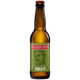 One beer later | Bere artizanala Classic American IPA Power Up 330ml