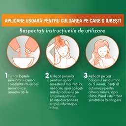 Garnier | Color Naturals | Vopsea pentru par 1 Negru