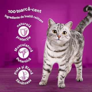 Whiskas | Hrana umeda pentru pisici cu somon in sos 85g