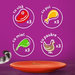 Whiskas | Hrana umeda pisici Mese Clasice in sos 12x85g