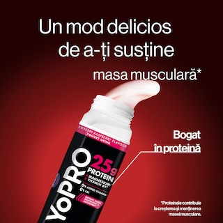 YoPRO | Iaurt de baut cu capsuni si zmeura 300g