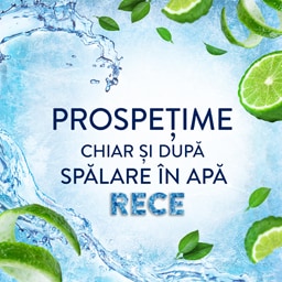 Lenor | Balsam pentru rufe Meadow, 71 spalari 1.491L