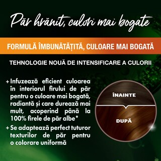 Garnier | Color Naturals | Vopsea pentru par 4.3 Saten Auriu Natural