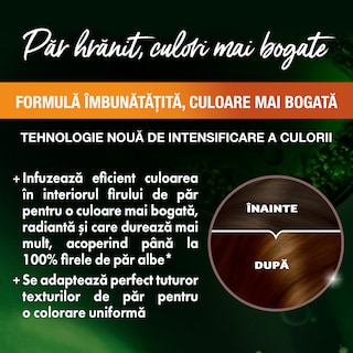 Garnier | Color Naturals | Vopsea pentru par 4.3 Saten Auriu Natural