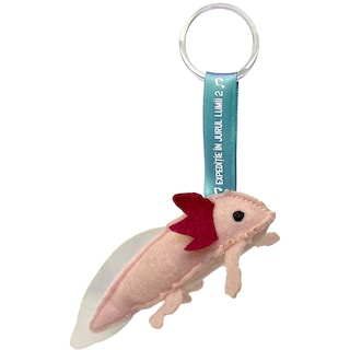 Expeditie in jurul lumii