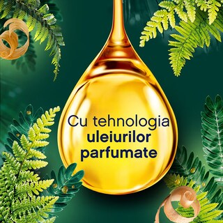 Lenor
