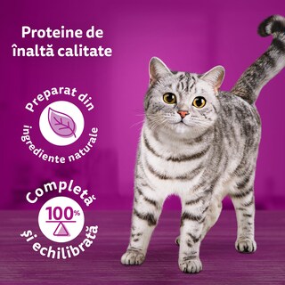 Whiskas | Hrana umeda pentru pisici Selectie mini fileuri in aspic 12x85g