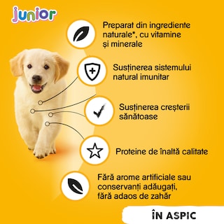 Pedigree | Hrana umeda cu pui, pentru caini Junior 400g