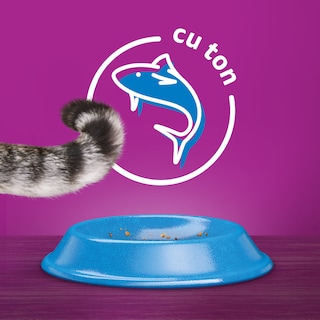 Whiskas | Hrana uscata pentru pisici, cu ton 1.4kg