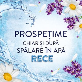 Lenor | Balsam pentru rufe Lavanda si musetel, 71 spalari 1.491L