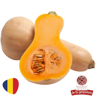 Gusturi romanesti | Dovleac placintar