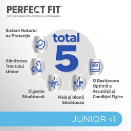 Perfect Fit | Hrana uscata, completa, bogat in pui, pentru pui de pisica 750g