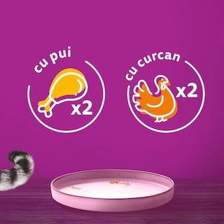 Whiskas | Hrana umeda pentru pui de pisica selectie mini fileuri in aspic 4x85g