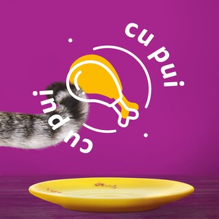Whiskas | Hrana umeda pentru pisici cu pui in aspic 85g