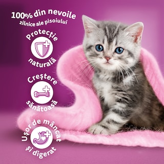 Whiskas | Hrana umeda pentru pui de pisica, cu pui in aspic 85g