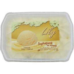 Inghetata cu aroma de vanilie 500g