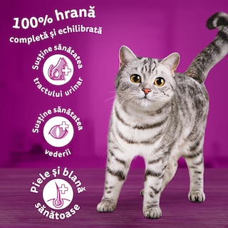 Whiskas | Hrana uscata pentru pisici, cu ton 1.4kg