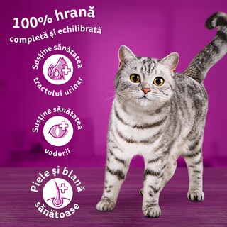 Whiskas | Hrana uscata pentru pisici, cu ton 1.4kg