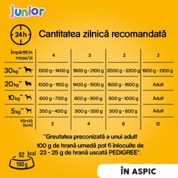 Pedigree | Hrana umeda cu pui, pentru caini Junior 400g