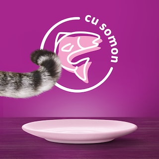 Whiskas | Hrana umeda pentru pisici cu somon in sos 85g