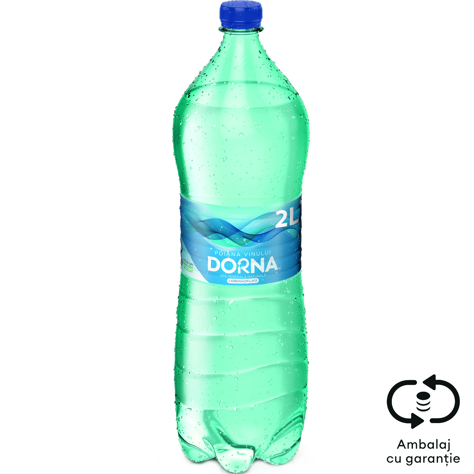 Apa minerala naturala carbogazificata 2L