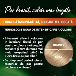 Garnier | Color Naturals | Vopsea par blond foarte deschis cenusiu 9.1
