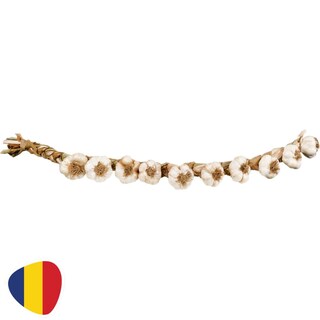 (bucata) | Usturoi funie