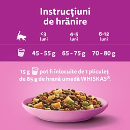Whiskas | Hrana uscata pentru pui de pisica, cu pui 300g