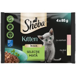 Sheba | Hrana umeda pentru pisici junioare, selectie mixta in sos 4x85g