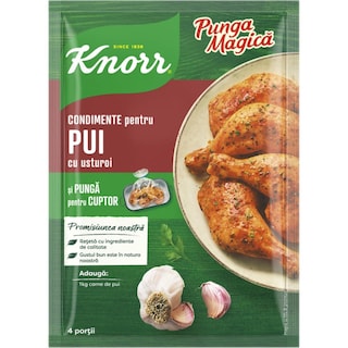 Knorr | Punga magica | Mix de condimente pentru friptura de pui cu usturoi 28g
