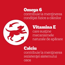 Pedigree | Biscrok | Hrana complementara pentru caini adulti 200g