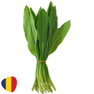 (bucata) | Leurda
