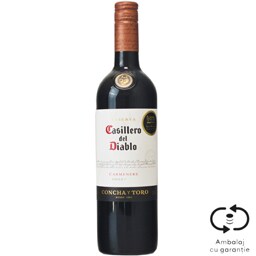 Casillero del Diablo | Vin rosu 0.75L