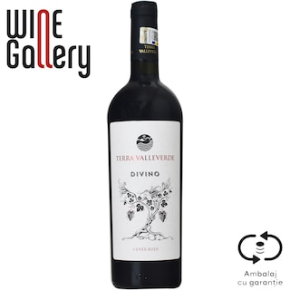 Terra Valleverde | Vin rosu sec Divino 0.75L