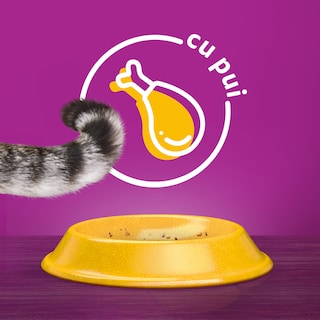 Whiskas | Hrana uscata pisici adulte, cu pui 300g
